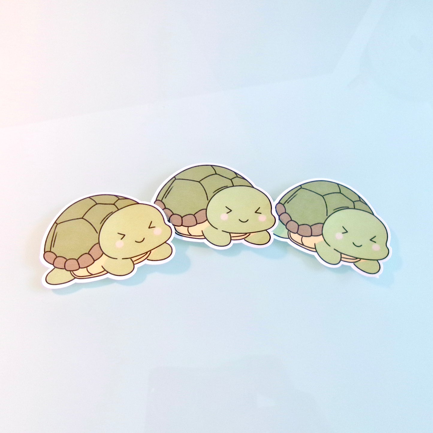 Turtle Sticker